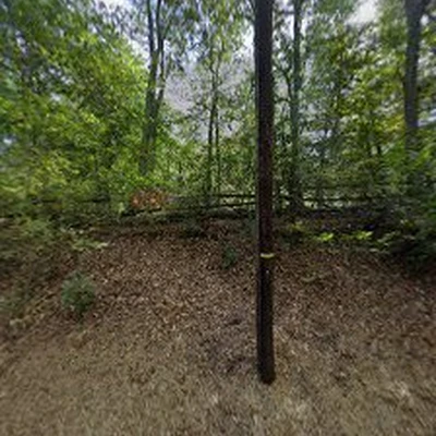 Skytop Landscaping LLC