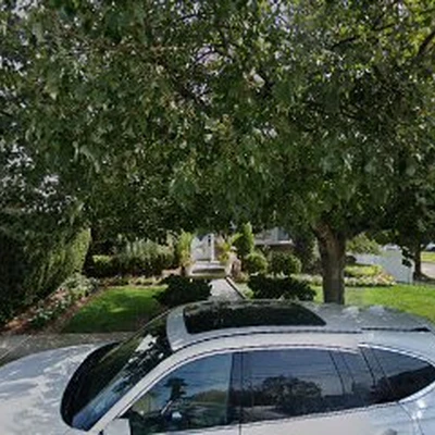 Campion Landscaping Back