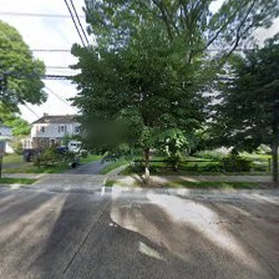 Arbor Ace Tree Service