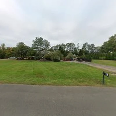 Vista Landscape Design And Nursery