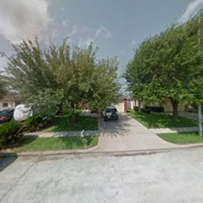 Dr lopez tree landscaping services