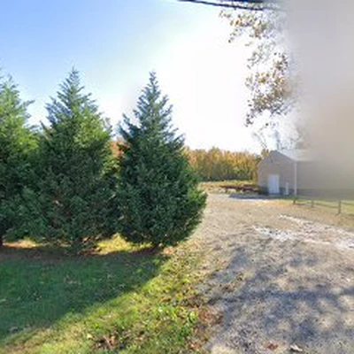 Eaise Design & Landscaping Inc