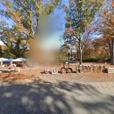 Phenomenal Landscaping LLC