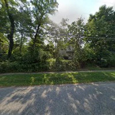 EC Tree & Landscaping LLC