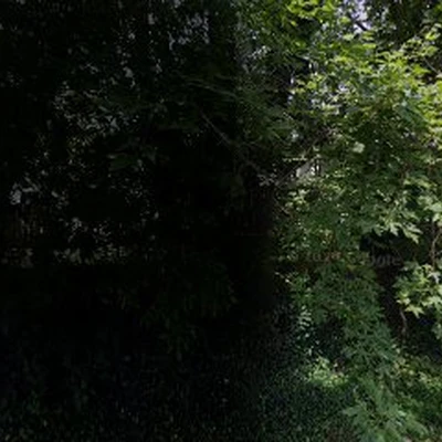 Unique Landscaping
