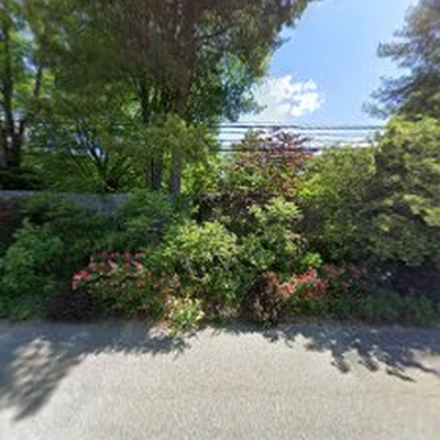 Naturescapes Landscape Specialists