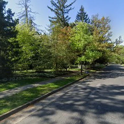 Maple Landscaping & Lawn Services ent