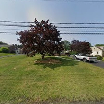 Latino Landscaping & Tree Service