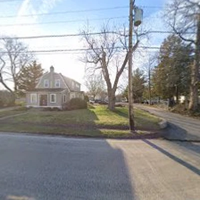 Willow Tree & Landscaping Services
