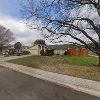 The Tree Man Tree Care And Landscape
