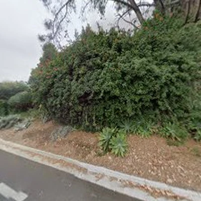C & H Gardens Artistic Landscape & Tree Service