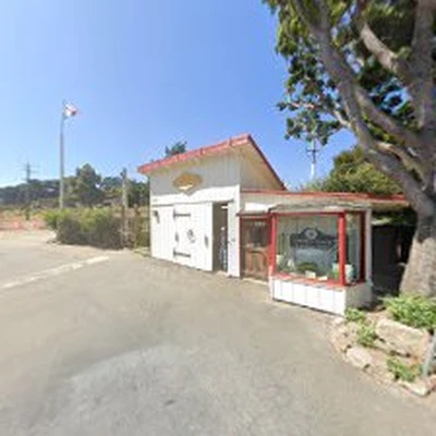 Carmel Point Landscapes