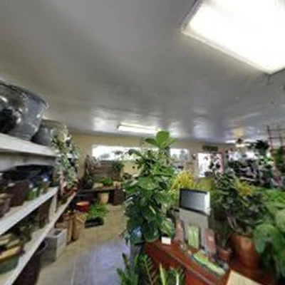 Green Gardens Nursery