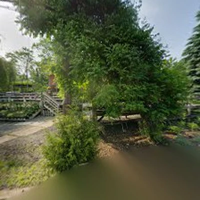 Arbor Hill Garden Center & Landscaping