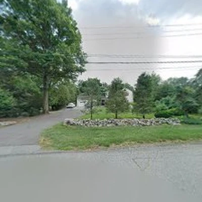 All County Lawn Care Tree & Shrub