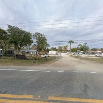 Yellowstone Tree Care Jacksonville