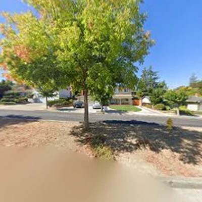 S & G HOME ORCHARD CARE & LANDSCAPE