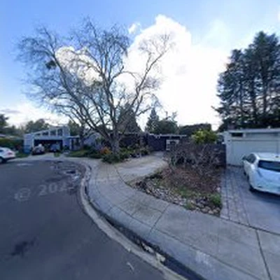Green Thumbs Up Landscape design consultations