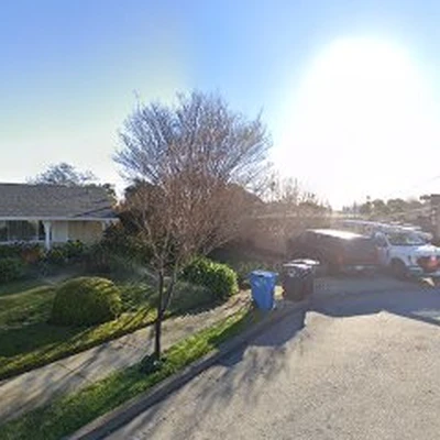 Evergreen Landscaping & Gardening Maintenance