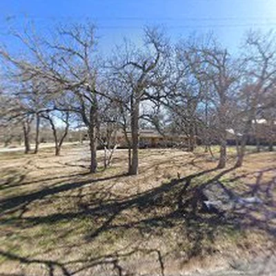 Texas Tree Experts