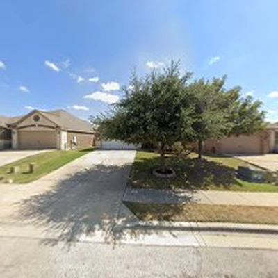Gladiator Tree Experts & Landscaping
