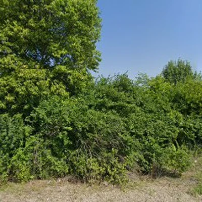 McCall landscaping