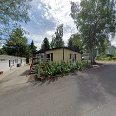 Sanchez & Sons Landscaping
