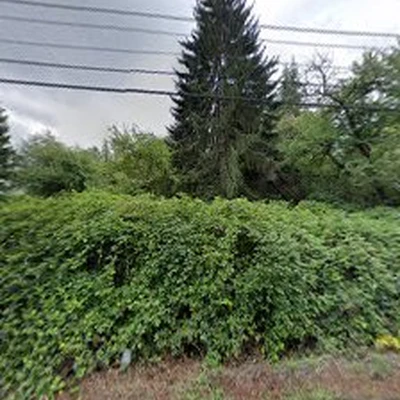 Jorge Landscaping & Tree Service LLC