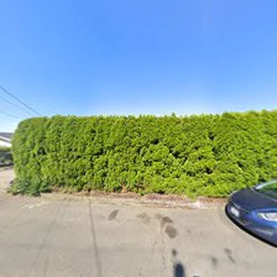 Pinewood Landscapes