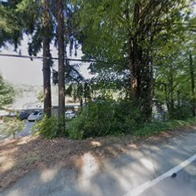 Blue Ribbon Tree & Landscape Specialists