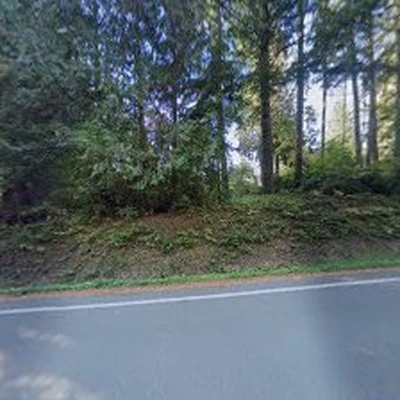 Dogwood Designs & Landscaping