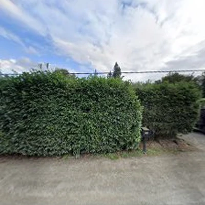 Juan G Landscaping & Tree Service