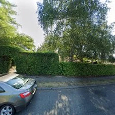 TreeFrog Lawn & Landscape