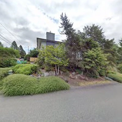 Seattle Bamboo