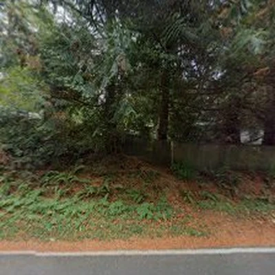 Island Details Landscape & Maintenance