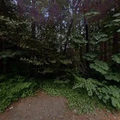 Pro Pruners Landscaping & Design LLC