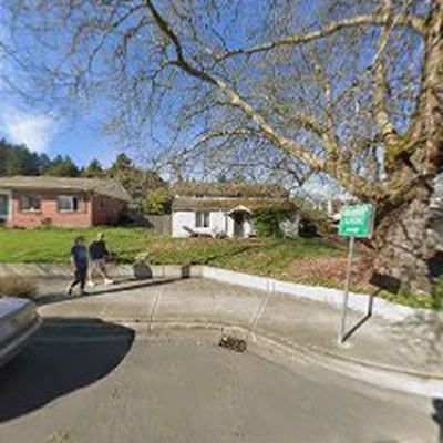 Tree Service Experts Kenmore