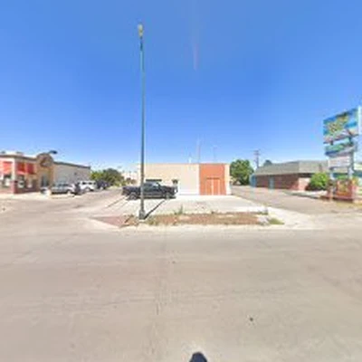 Mile High Landscape & Tree Service Denver