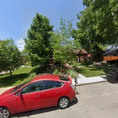 Wild Irishman Tree and Landscape - Denver Landscaping