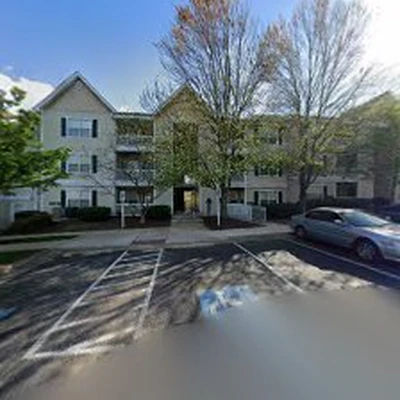 123 Landscaping, Tree Services & More
