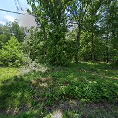 HMS TREE & LANDSCAPING LLC