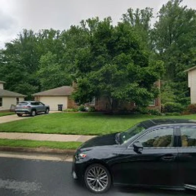 Tree Landscaping LLC