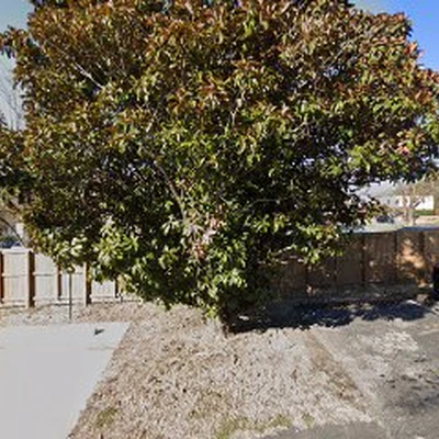 American Landscaping Partners