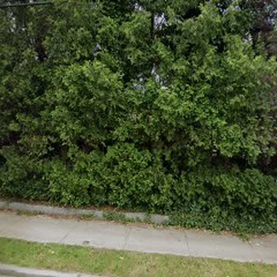 Ed's Landscaping & Tree