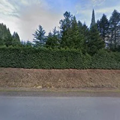 Leons Landscaping Maintenance