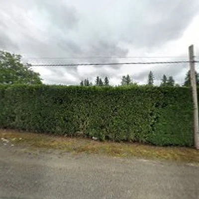 Hillside Landscape Maintenance