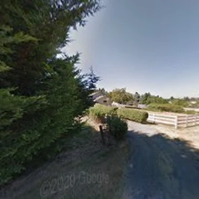 Bithell Nursery & Landscape