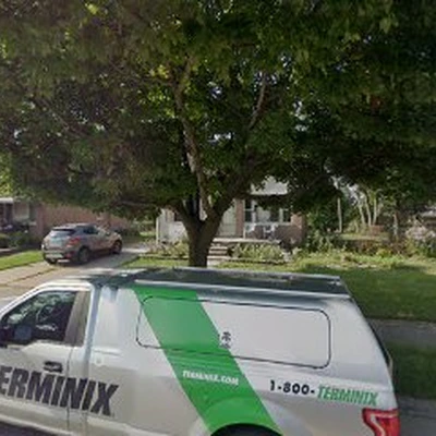 Lawnivores Landscaping