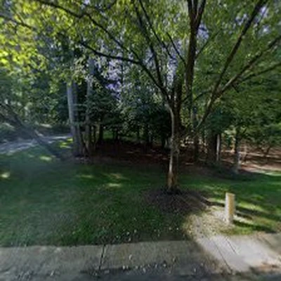 Easy to Green Landscaping