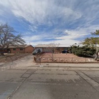 Davids Tree Removal and yard maintenance
